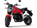 Honda MSX 125 2014 đến Mỹ