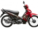 Taurus LS 2011 sắc màu mới, tính năng mới